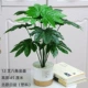 12 вилочная восьмиугольная золотая тарелка (Baishi_ Nordic White Pot)