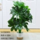 18 вилочных листьев состояния (Baishi_ Nordic White Pot)