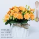 02-Han Ju Pot Pount Lowing Orange