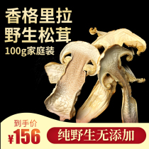 Wild Tricholoma matsutake Wild Tricholoma Yunnan specialty wild fungus dry goods 100g fresh Shangri-La matsutake