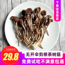 Natural tea tree mushroom dry goods new 200g Yunnan specialties dry goods wild fungus soup bag bulk