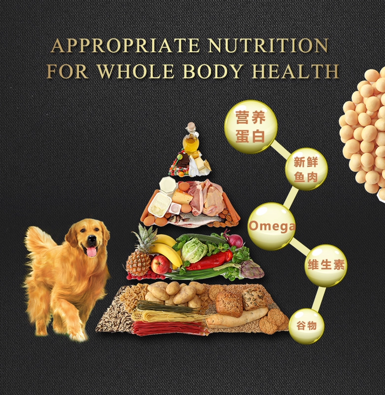 Chó tơ đôi chó thức ăn cho chó loại chung 30 kg 15kg Chó Purina thức ăn chính Samora Brado Golden Sữa Cake
