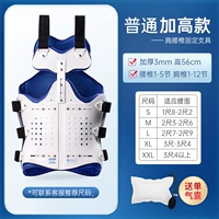 Обычные повышенные модели [Мужчины и женщины общий воздушный транспорт SF]