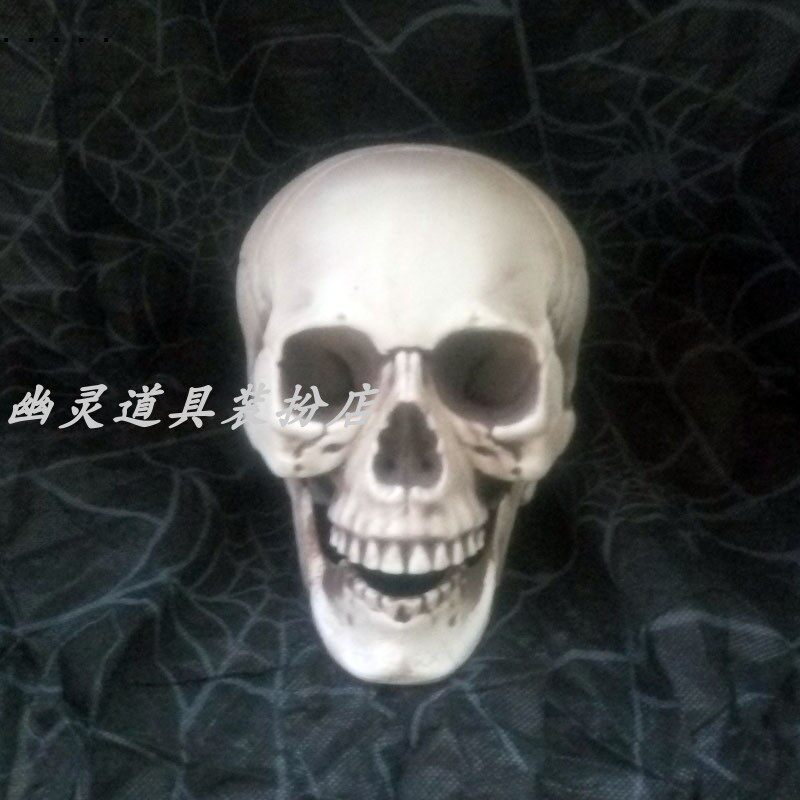 Shooting props skull COS dress simulation human large skull Halloween haunted house ornaments skull human head model