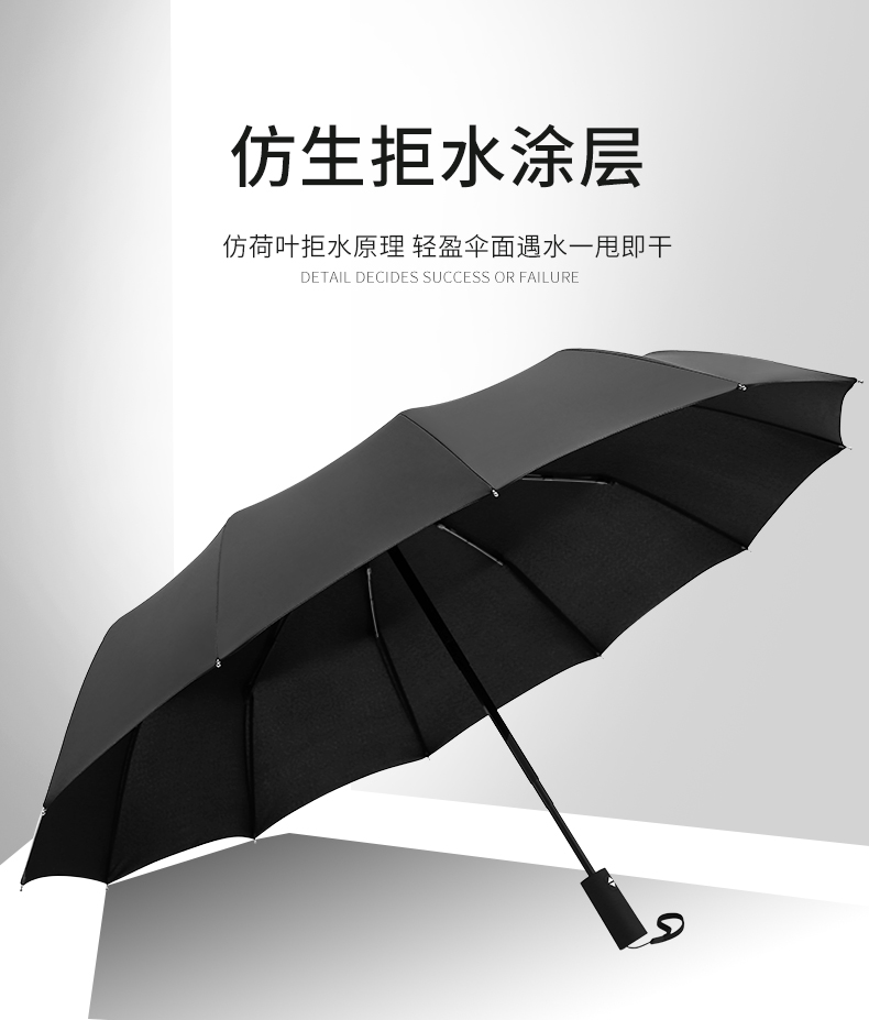 宝迪妮 10骨折叠晴雨伞 图4