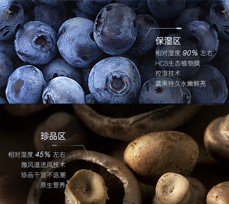 BCD-435WDCAU1 TMALL ELF-20181016_04.JPG