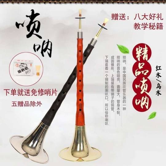 Ebenholz-Palisander-Ebenholz-Suona-Instrument D-Taste für Anfänger, komplettes Set ethnischer Blasinstrumente
