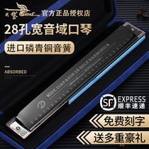 Germany imported spring 28 holes polyphonic accented harmonica Advanced adult professional performance level beginner students