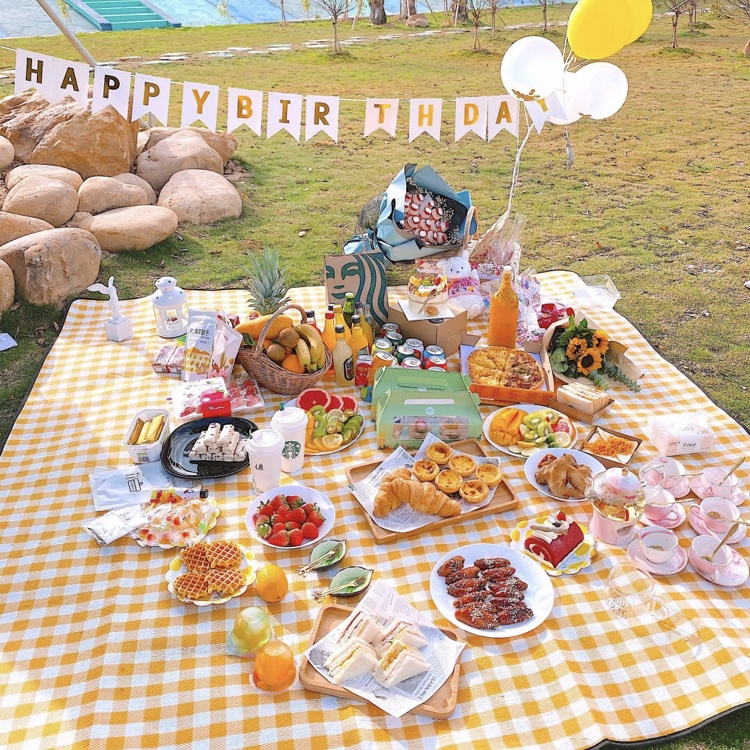 Outdoor picnic mat ins wind picnic props Birthday party Net red photo decoration spring travel mat