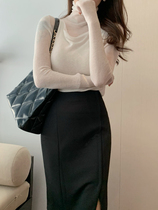 DAJOS 80 Count 3 Strands of 100% Water-Soluble Wool Eye-Closed Turtleneck Bottoming Two-Piece Set