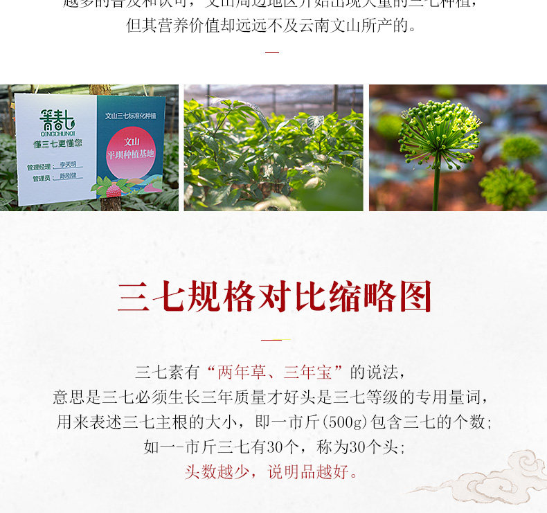 Подробная страница Sanqi Head_16.jpg