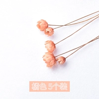 Бразильская маленькая звезда апельсин