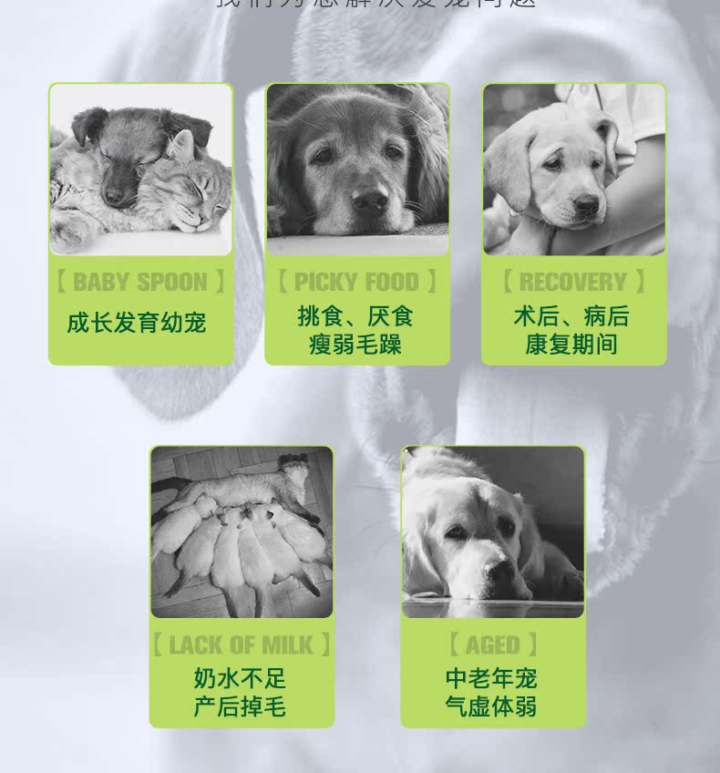 Thú cưng mới Kang kem dinh dưỡng thú cưng Teddy Golden Retriever chó con mang thai chó canxi tốc độ cao - Cat / Dog Health bổ sung 	sữa cho mèo con 1 tháng tuổi