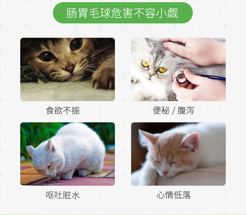 Kem mèo rừng Pet mèo mèo vào mèo lông mèo mang thai kem dinh dưỡng nhổ kem - Cat / Dog Health bổ sung sữa cho mèo con