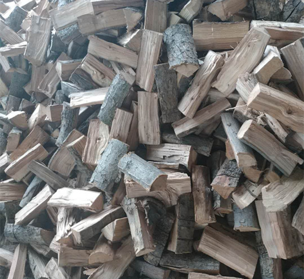 Outdoor fire barbecue picnic barbecue with fruit wood firewood firewood wood apple wood jujube wood fire fireplace firewood