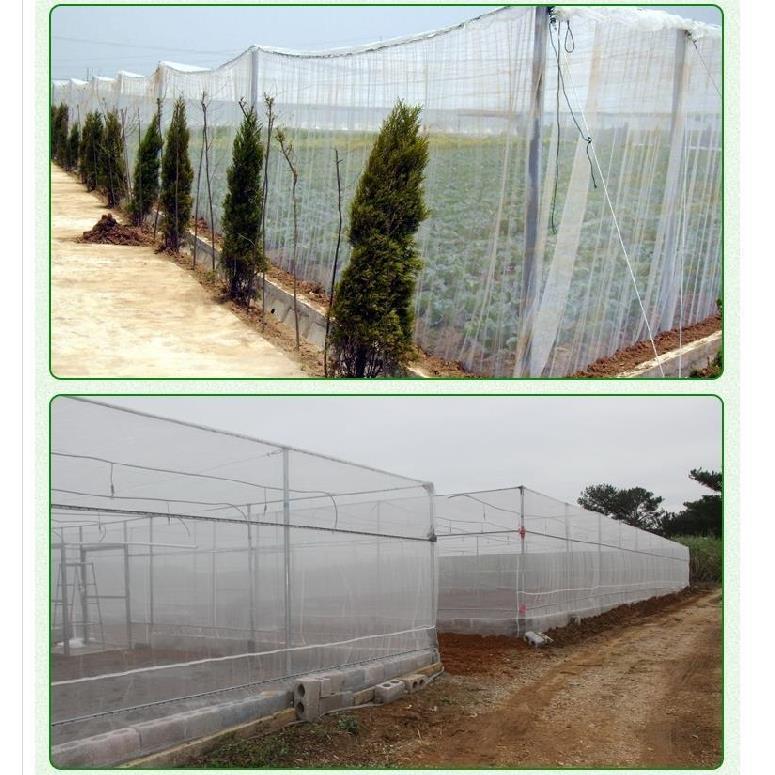 Type of vegetable anti-insect net against mosquito net cloth gauze mesh gauze mesh hood anti-insect multipurpose mosquito-proof mosquito-proof grasshopper