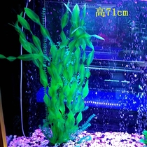 Simulation of aquatic plants in the fish tank Fish tank seagrass Fish in the live fish tank Grass Fish in the tank Aquatic plants underwater