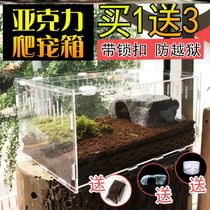 Songworms eco-box jumping spider Kowloon insect corn snake clown frog chameleon lizard reptile pet creeper feeding box