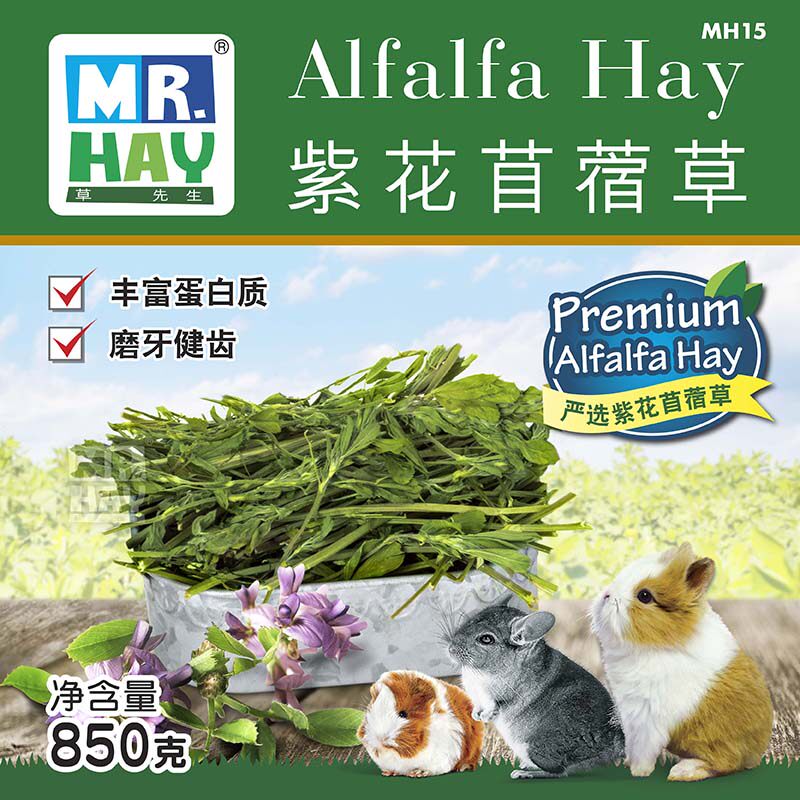 Mr. Grass Gentleman Purple Flower Clover Grass Rabbit Grain Guinea Pig Dragon Cat Food Pasture Grass Dutch Pig Feed Net Weight 850g Dry Grass MH15