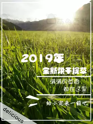 2021 top Timothy grass drying high quality 500g bag dry grass quality North mention rabbit guinea pig Chinchilla good palatability