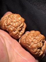 Wenwan Walnut Yanqing Toad Head Open Back Old Tree Golden Toad Unrepaired Lion Head Boutique Hand Toy Disk Toy Collection Grade