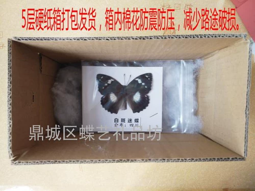 Натуральные учебные пособия, учебный образец, 16 года, «сделай сам»