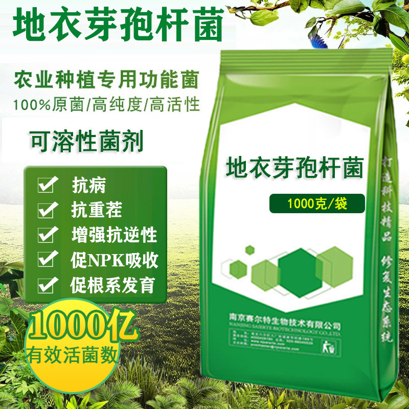 地衣芽孢杆菌农业种植 增产增肥 微生物菌粉有机肥 包邮厂家