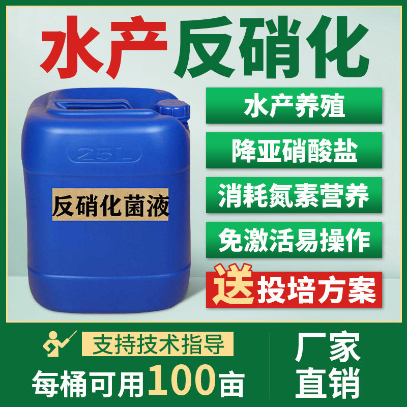 反硝化菌液降总氮污水处理菌厌氧菌复合菌种总氮生物挂膜缺氧池