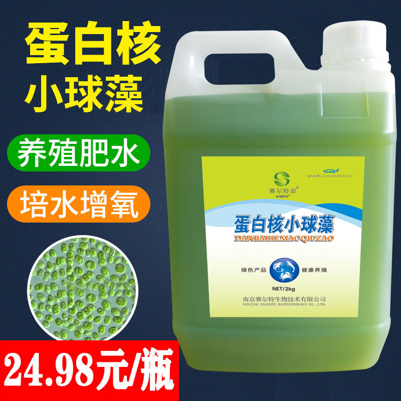 小球藻种水产养殖肥水培藻鱼虾蟹塘调水增氧培藻浓缩蛋白核小球藻
