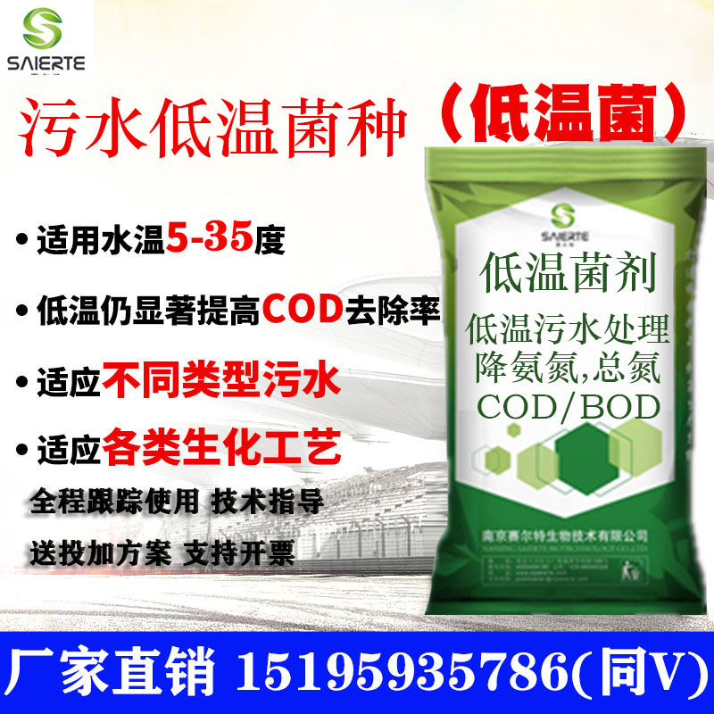 低温菌剂污水处理菌种好氧池厌氧池活性污泥降低COD氨氮总氮净水