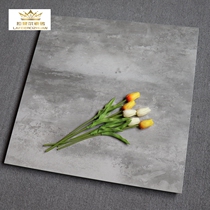 Eurostyle Matt Retro Cement Brick 600x600 Shops Resistant to Dirty Impervious Antique Brick Cinema Ground Tiles