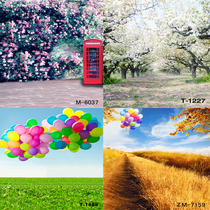 Forest Department Screenplay Outdoor background Tourism Real view Exterior View Wedding Dress Themed Photo Background Cloth