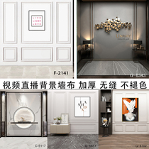 Clothing products Net Red anchor Direct Sowing Room 3D Photo Background Cloth Custom Wall Interior Plaster Line Advertising Photography