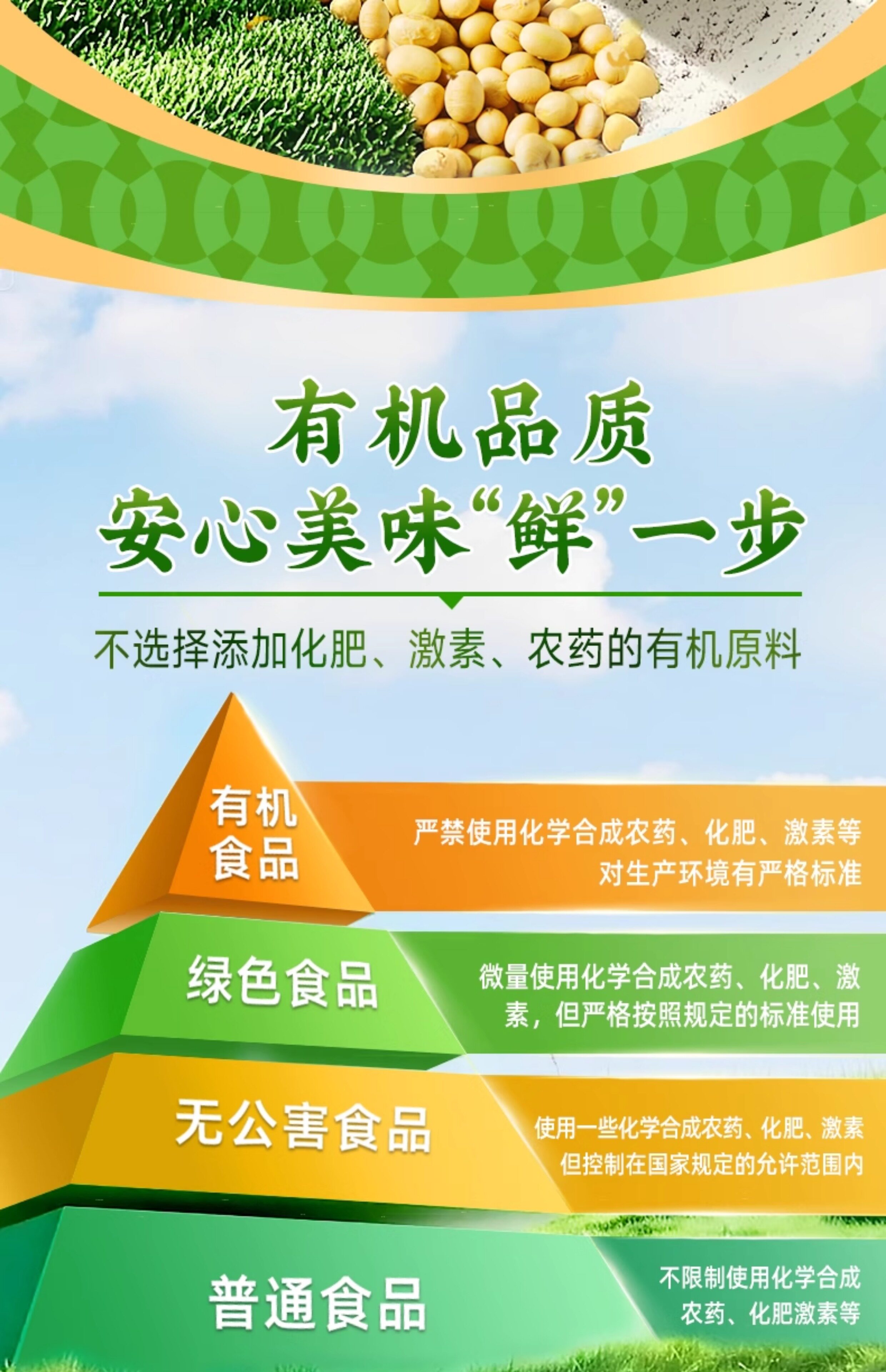 安享好物 安享A级生抽-珠江桥牌金装 有机豉油 国标 