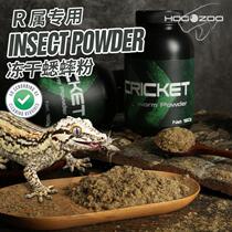 Cricket powder river shrimp dried powder freeze-dried eyelash powder BAO WEN gecko maned lion blue tongue lizard Anyuan semi-aquatic turtle