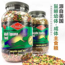 Imported from the United States original REPCAL larval adult green hunting lizard rhinoceros IG vegetarian food reptile pet reptile feed
