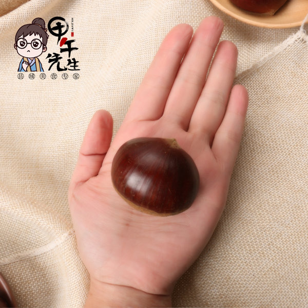 甲午先生 新鲜丹东生板栗 现摘毛栗子 5斤 优惠券折后￥29.9包邮（￥59.9-30）