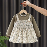 Фальшивые два кролика рис белый