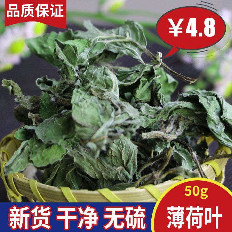 Mint leaves 50g grams of dried mint tea dried mint leaves fresh edible bubble water dry mint tea leaves clear cool tea