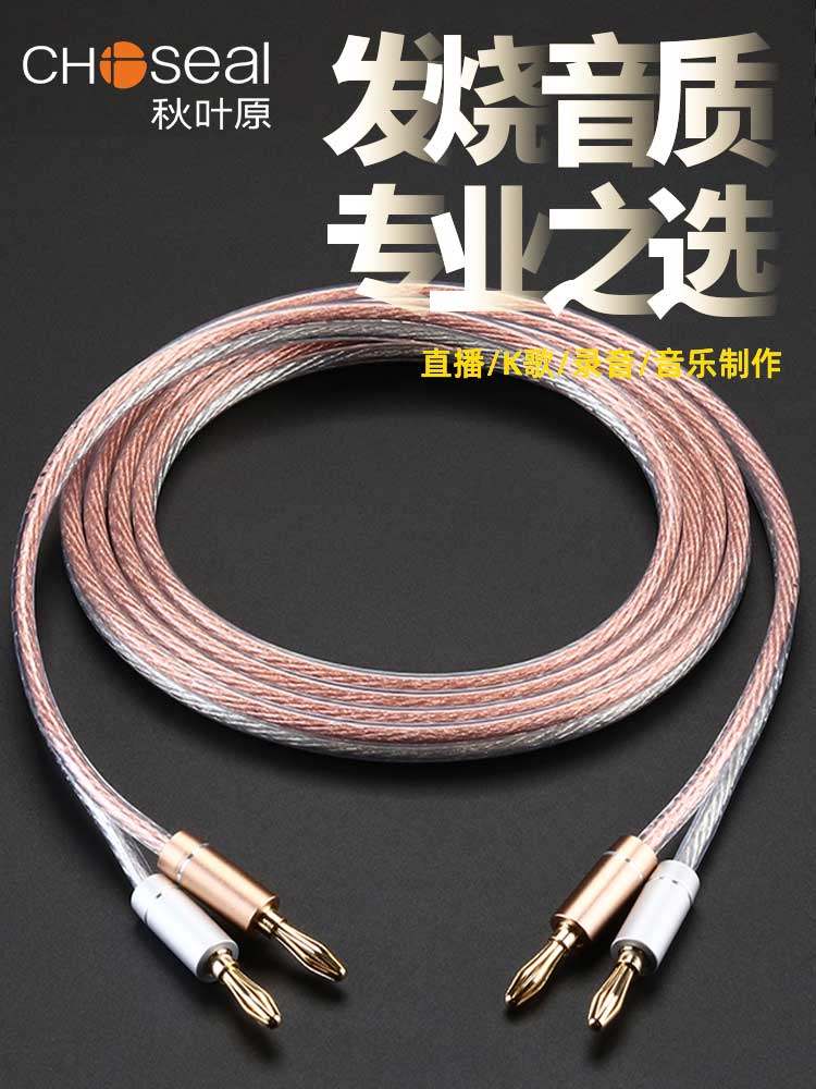 Akihabara Speaker Cable Pure Copper Speaker Wire Fever-Grade Audio Connection Cable Home Speaker Cable Amplifier Banana Head Cable