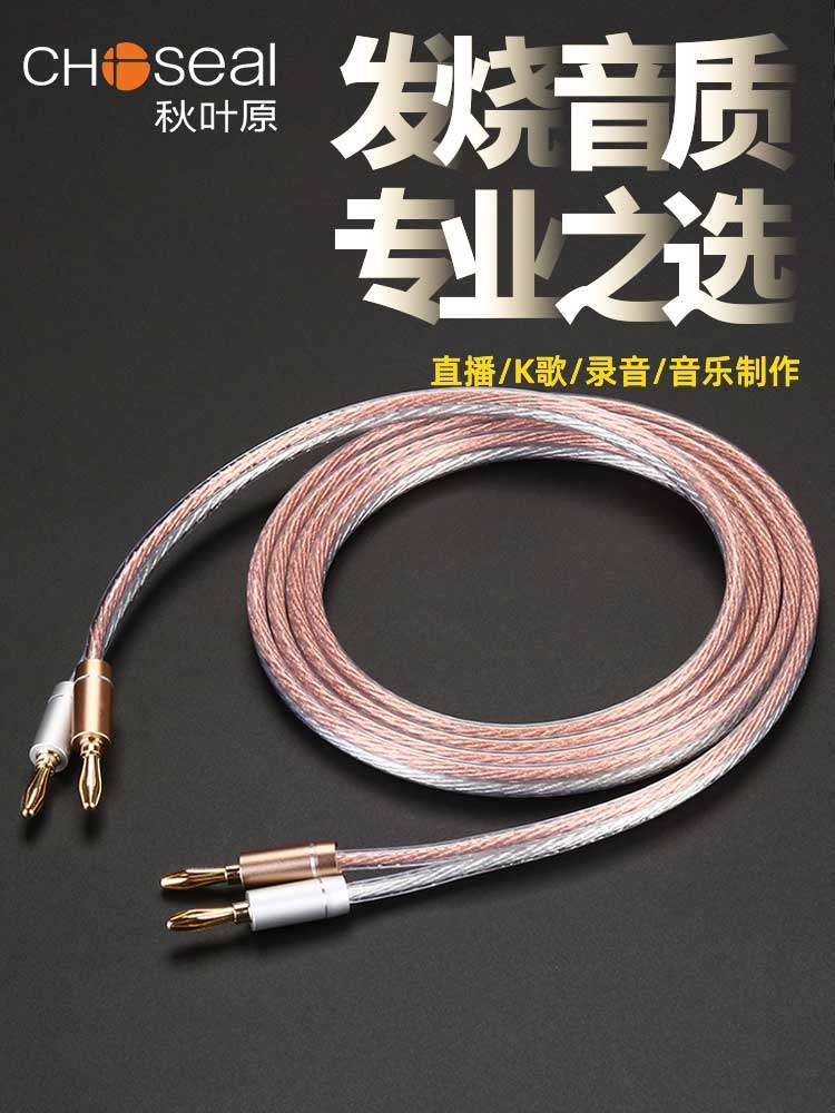 Akihabara Speaker Cable Pure Copper Speaker Wire Fever-Grade Audio Connection Cable Home Speaker Cable Amplifier Banana Head Cable