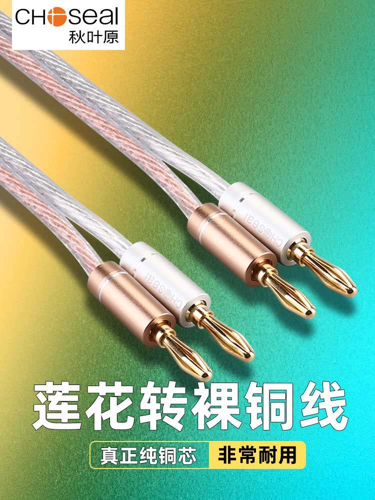 Akihabara Speaker Cable Pure Copper Speaker Wire Fever-Grade Audio Connection Cable Home Speaker Cable Amplifier Banana Head Cable