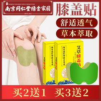Nanjing Tongrentang Moxibustion Patch Ahay Shoulder Neck Patch Aiye Knee Patch Fever Application to Waist Leg Pain Pain Sticking Moxibustion Paste