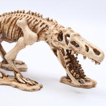 Dinosaur skull resin climbing pet guarding palace aquatic plant landscaping simulation skull mane master aquarium fish tank ornaments