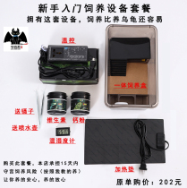 BAO WEN PALACE guard novice package reptile climbing pet lizard feeding box calcium powder vitamin heating pad temperature control thermometer