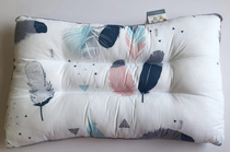 2019 new Fengqianer youth student cassia pillow pure cotton adult pillow 44X67