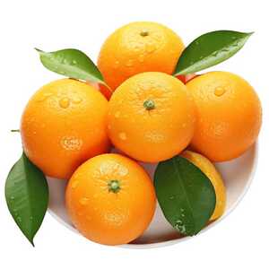 正宗！赣南脐橙当季水果4.5斤