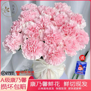 20支14.9！悦多彩AB级康乃馨鲜花