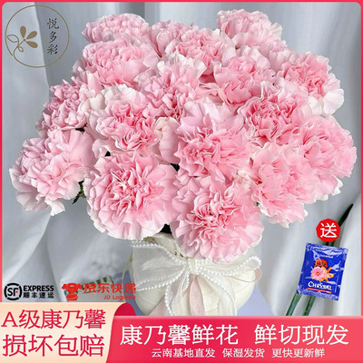 38女神节母亲节A级康乃馨鲜切花