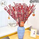 20支真枝银柳+5个新年挂件【顺丰稍贵】